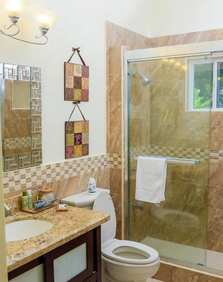Tatil Evi Tropical Luxury Dreams Villa Ocho Rios